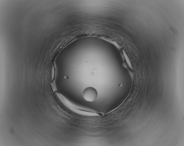 X0000112090756200908251127