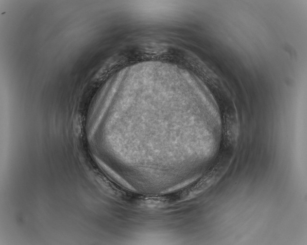 X0000112090758200908251127