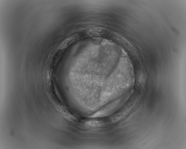 X0000112090759200908251127