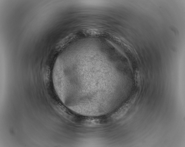 X0000112090760200908251127