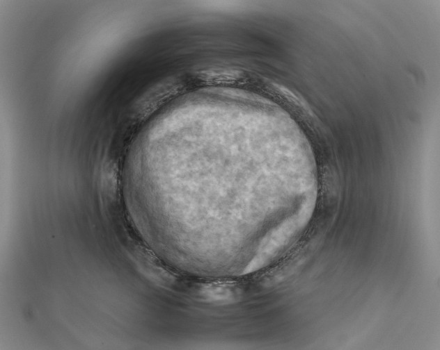 X0000112090761200908251127