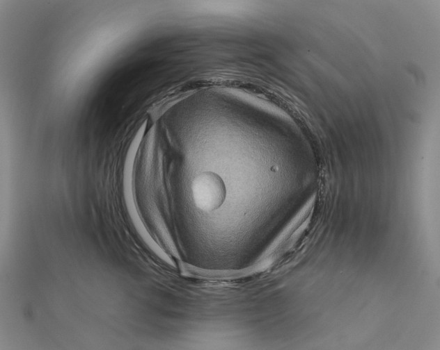 X0000112090762200908251127