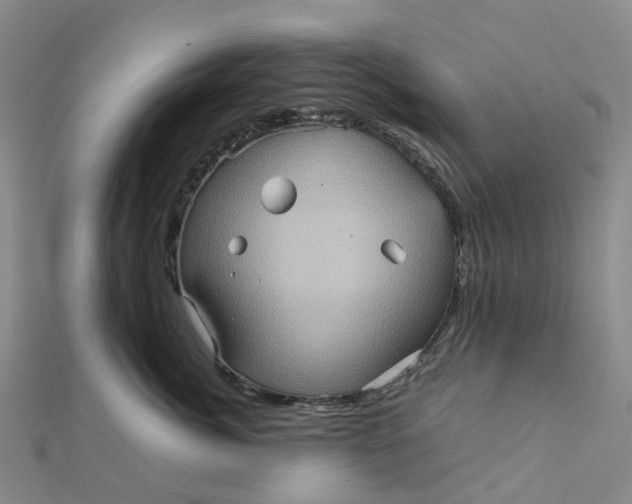 X0000112090764200908251127