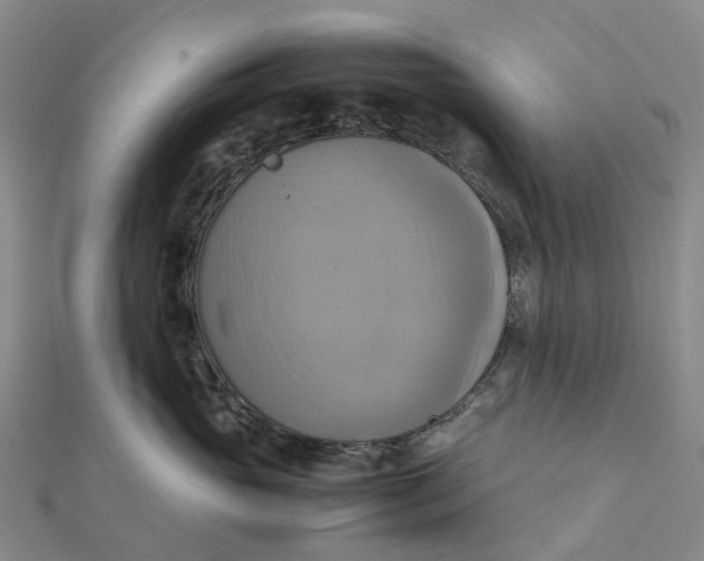 X0000112090765200908251127