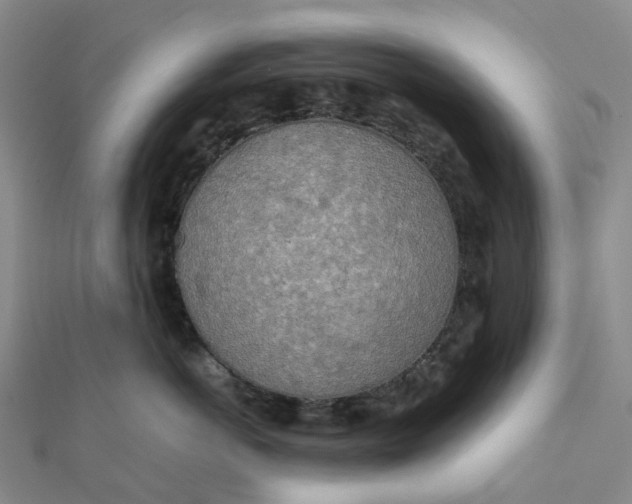 X0000112090766200908251127