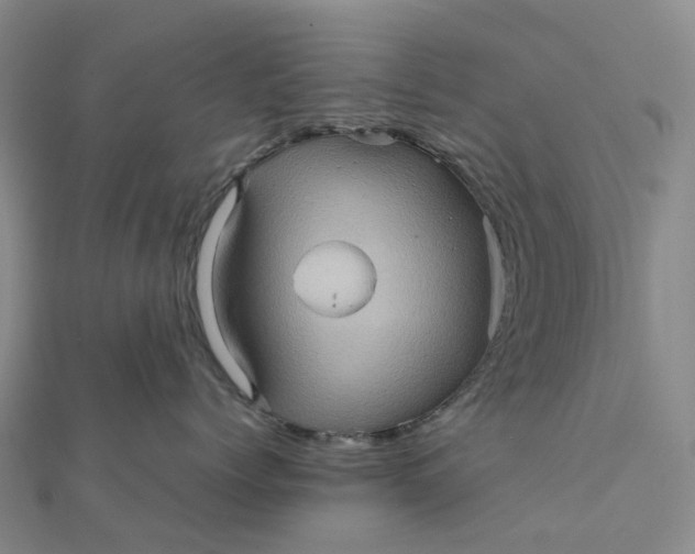 X0000112090768200908251128