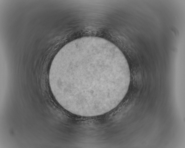 X0000112090769200908251127