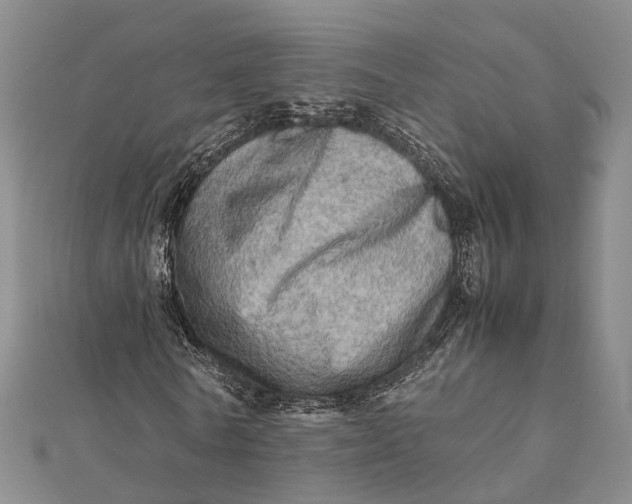 X0000112090770200908251127