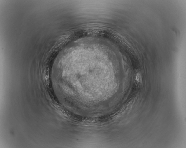 X0000112090771200908251127