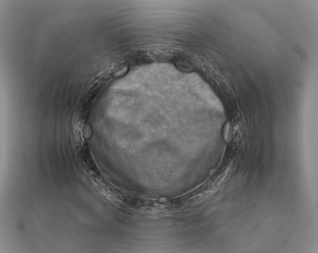 X0000112090772200908251127