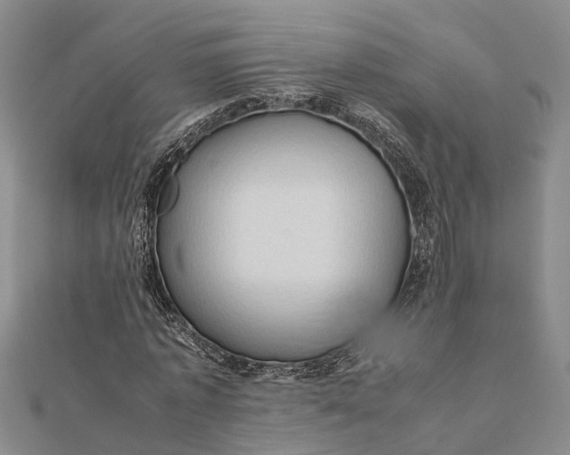 X0000112090773200908251127