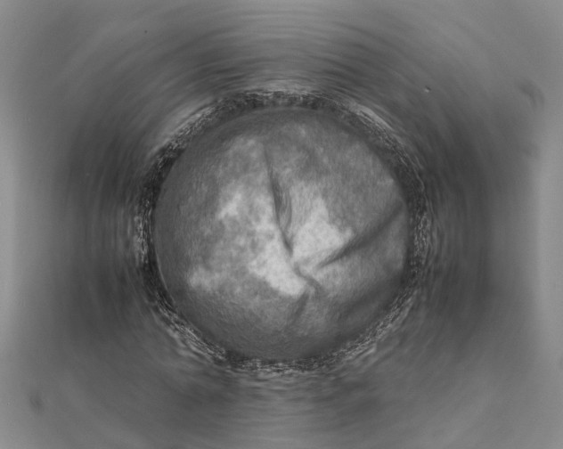 X0000112090774200908251127