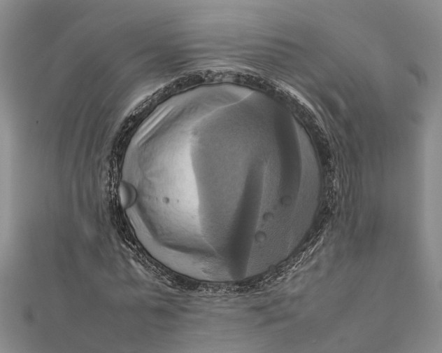 X0000112090775200908251127