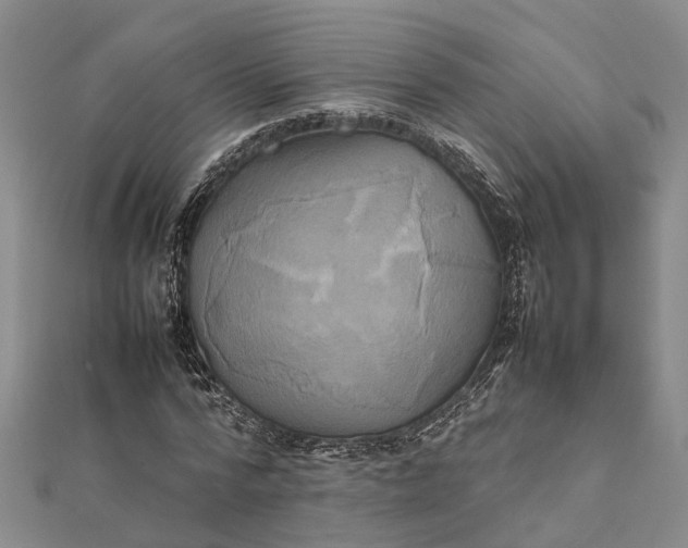 X0000112090776200908251127