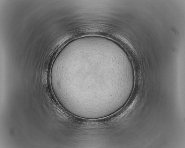 X0000112090777200908251127