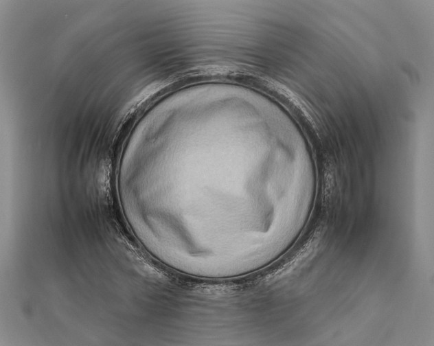 X0000112090778200908251127