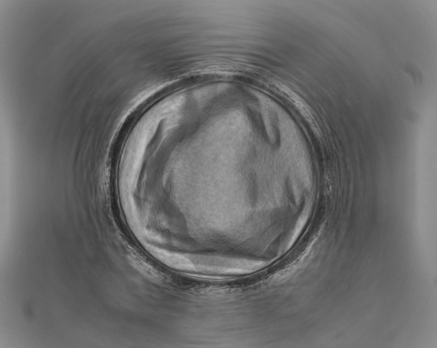 X0000112090779200908251127