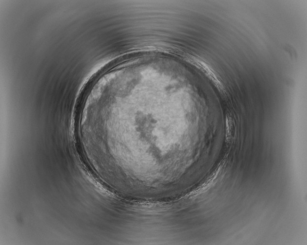 X0000112090780200908251127