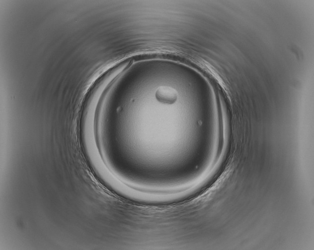 X0000112090781200908251127