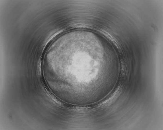 X0000112090782200908251127