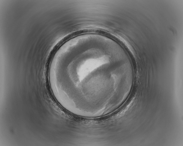 X0000112090783200908251127