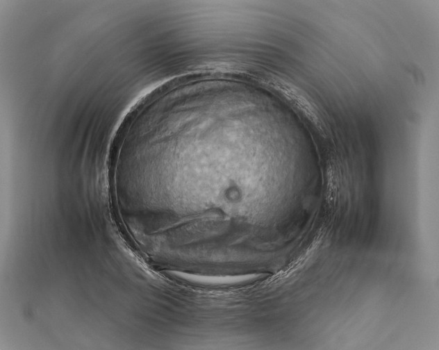 X0000112090784200908251127