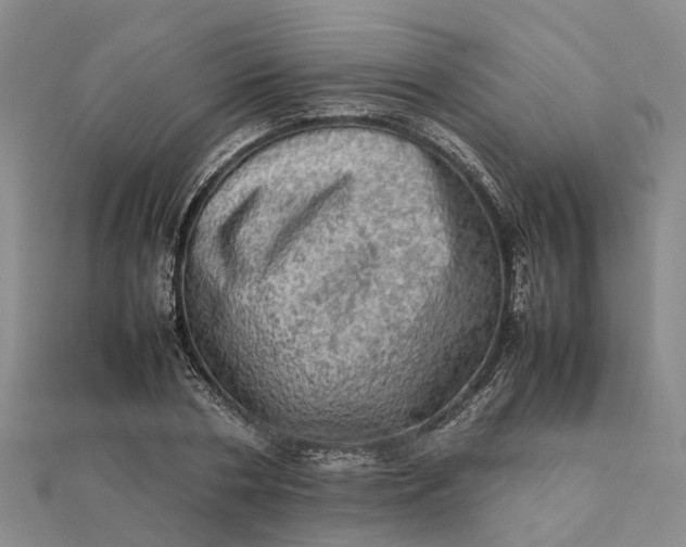 X0000112090786200908251127