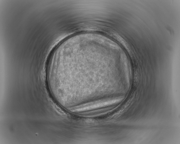 X0000112090787200908251127