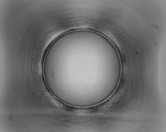 X0000112090789200908251127