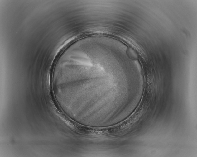 X0000112090790200908251127