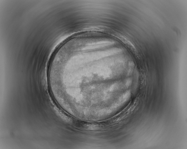 X0000112090792200908251127