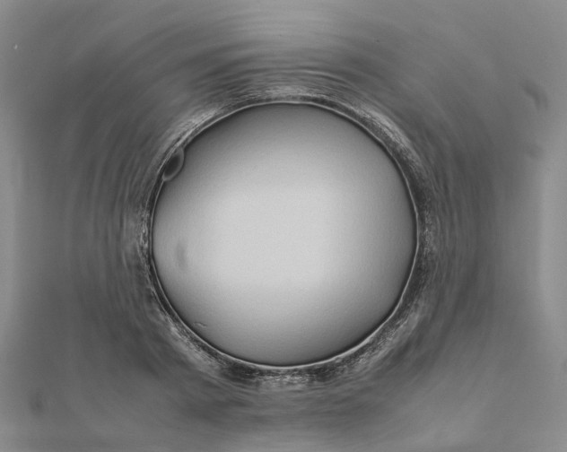 X0000112090793200908251127