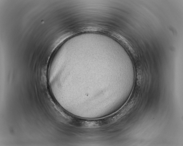 X0000112090794200908251127