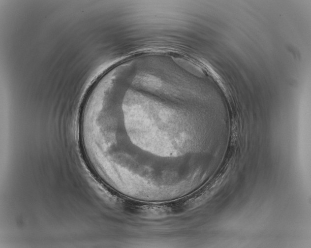 X0000112090795200908251127