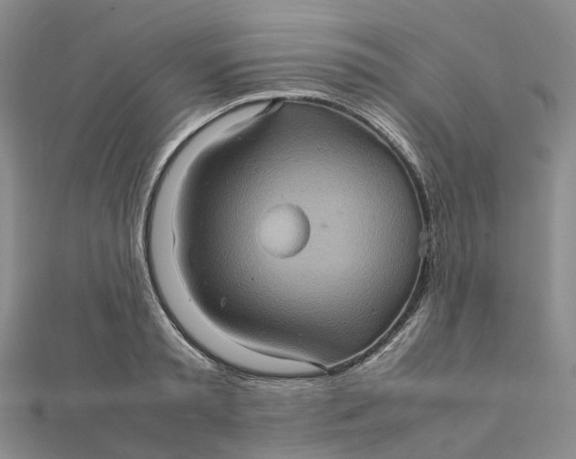 X0000112090797200908251127