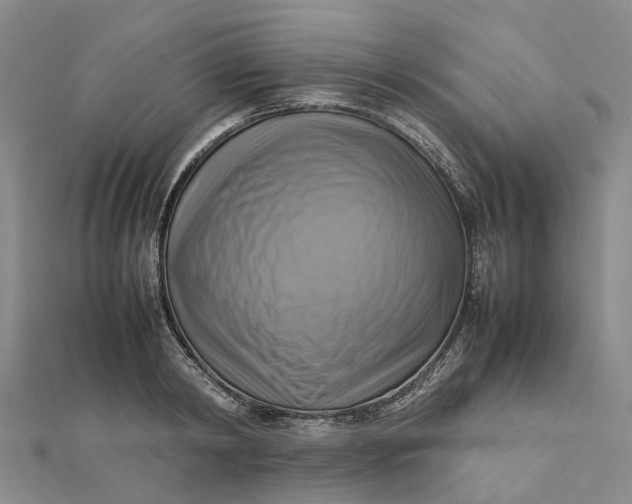 X0000112090798200908251127