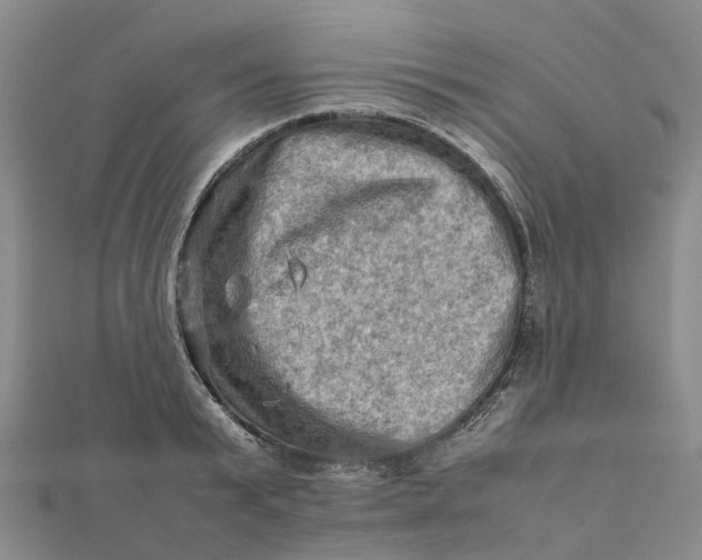 X0000112090799200908251127