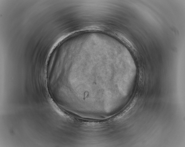 X0000112090800200908251126