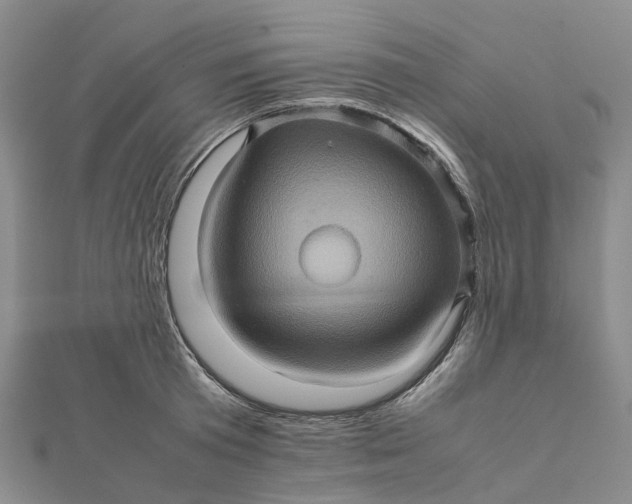 X0000112090801200908251126