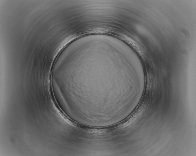 X0000112090802200908251126