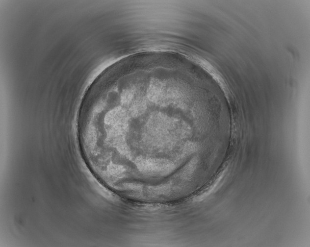 X0000112090803200908251126