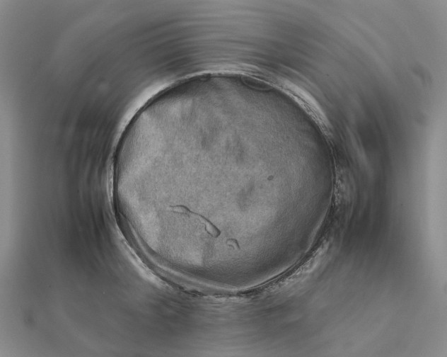 X0000112090804200908251126