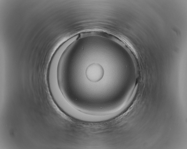 X0000112090805200908251126