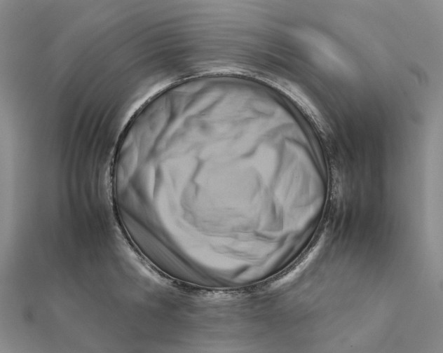 X0000112090806200908251126