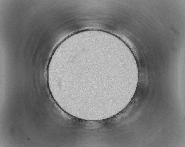 X0000112090807200908251126