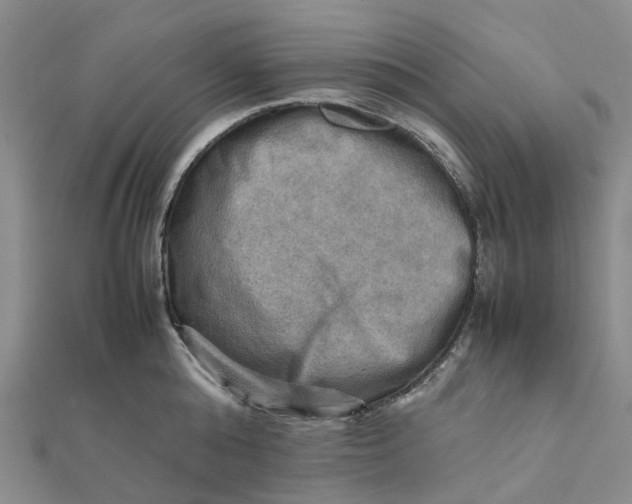 X0000112090808200908251126