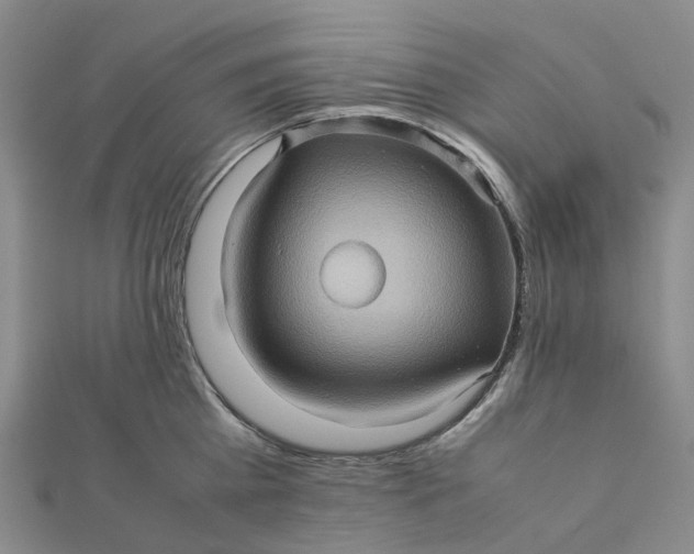 X0000112090809200908251126