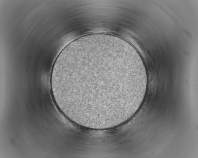 X0000112090810200908251126