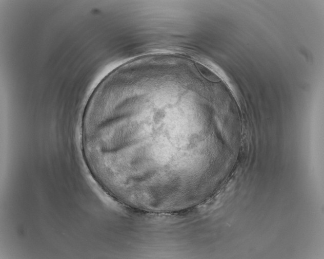 X0000112090811200908251126