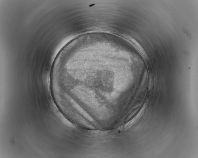 X0000112090812200908251126